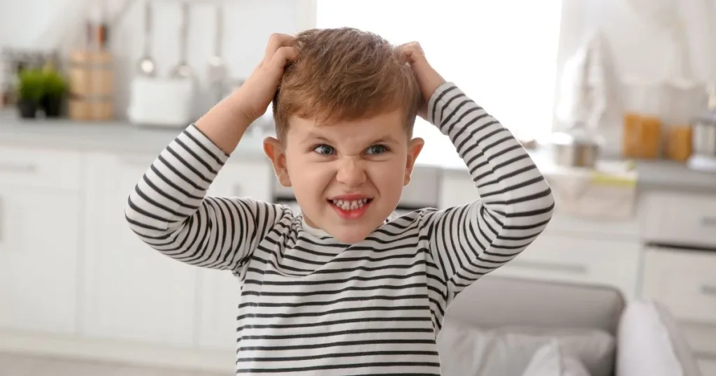 bed bugs in hair