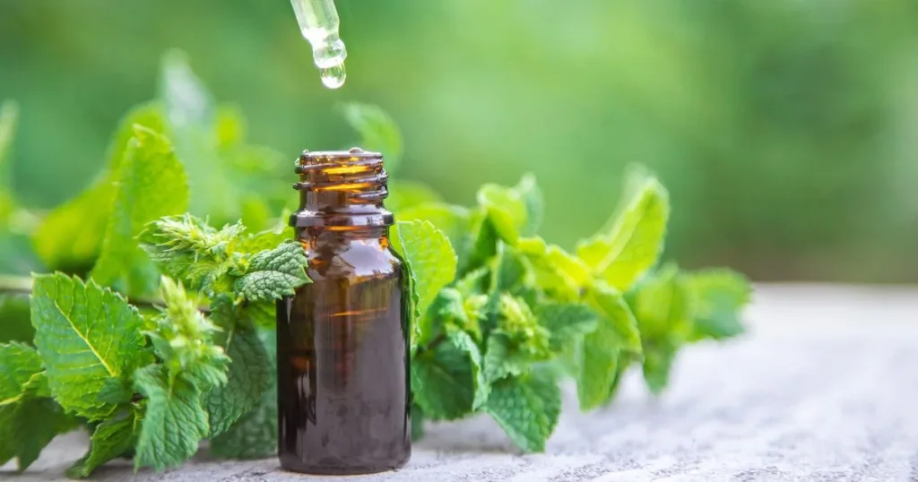 peppermint oil and mice