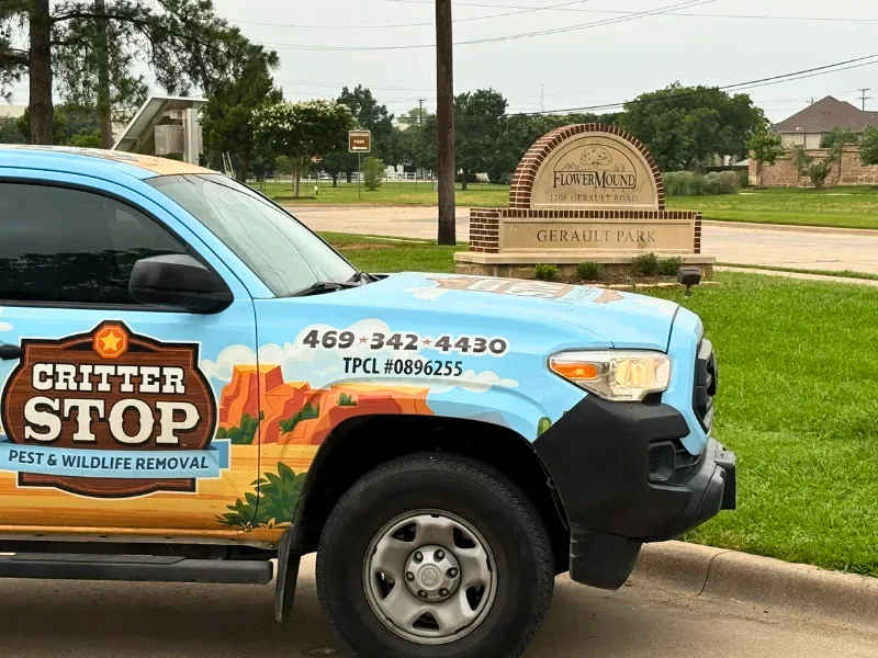 marketing demo gallery image png