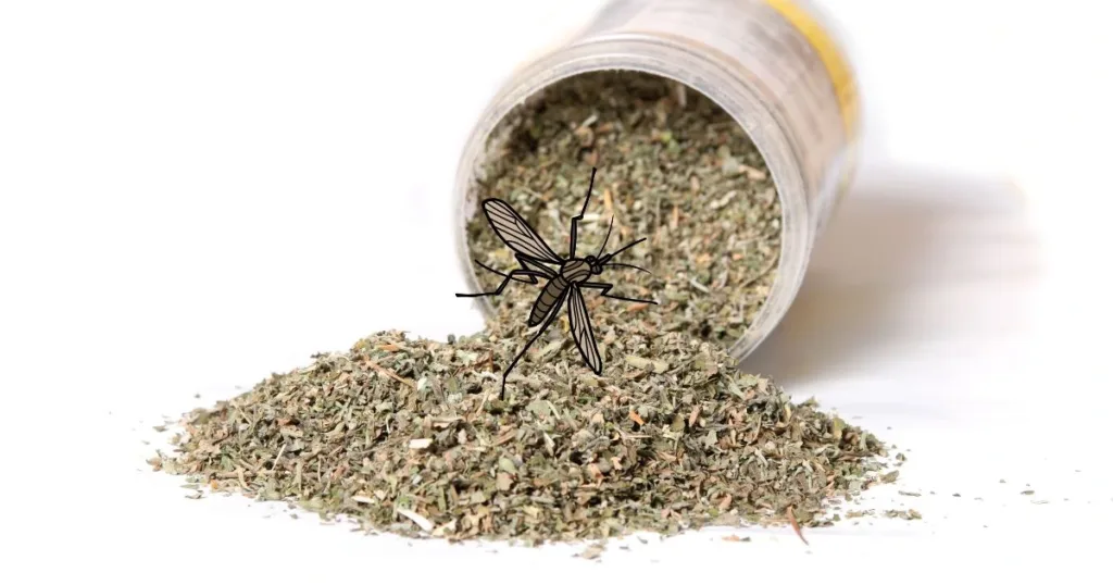 does catnip repel mosquitoes