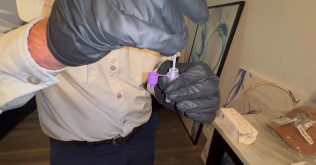 bed bug dallas