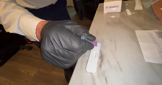 bed bug dallas