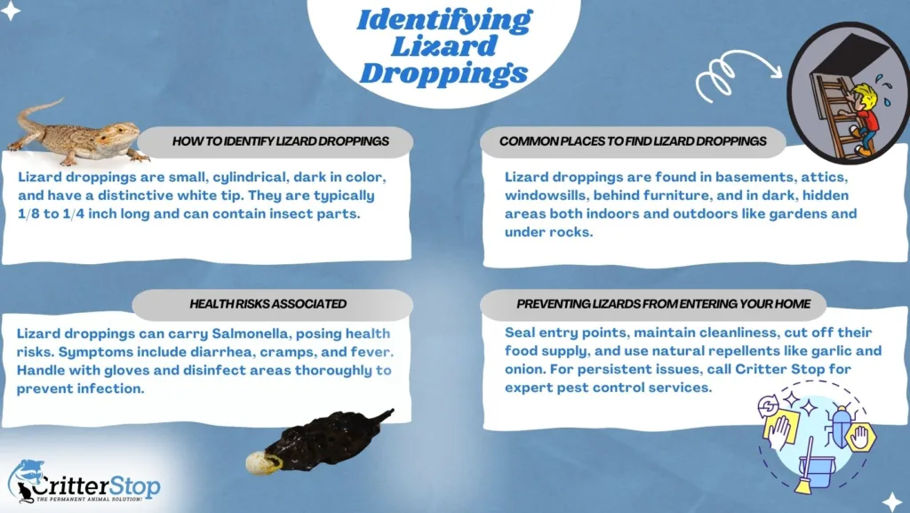 Identifying Pests: What Does Lizard Poop Look Like?
