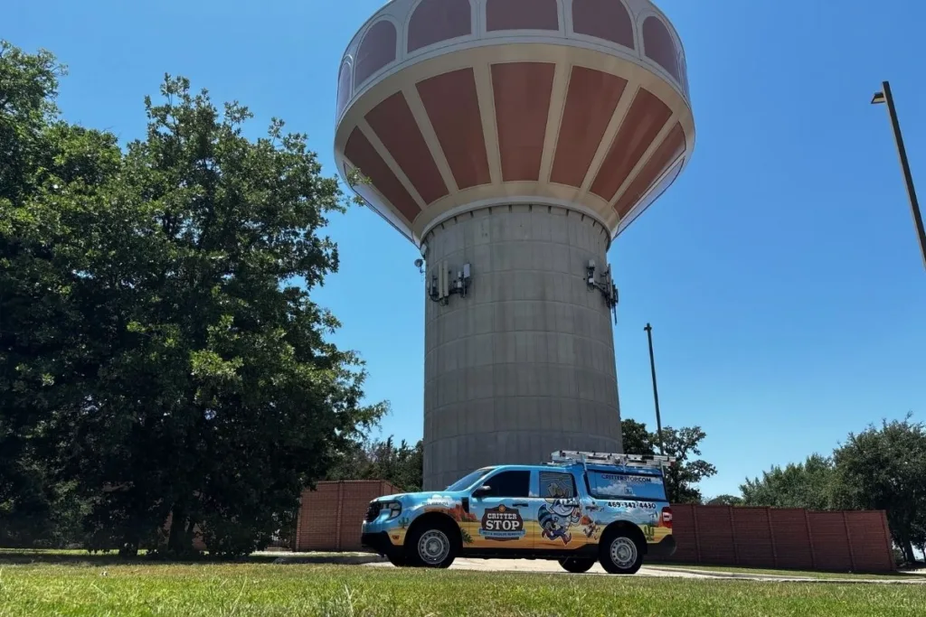 Pest Control Southlake