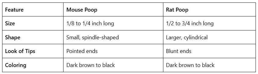 How to Identify Rodent Infestation with Mouse Poop Pictures How to Identify Rodent Infestation with Mouse Poop Pictures