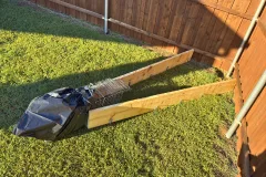 armadillo trapping services structural damage