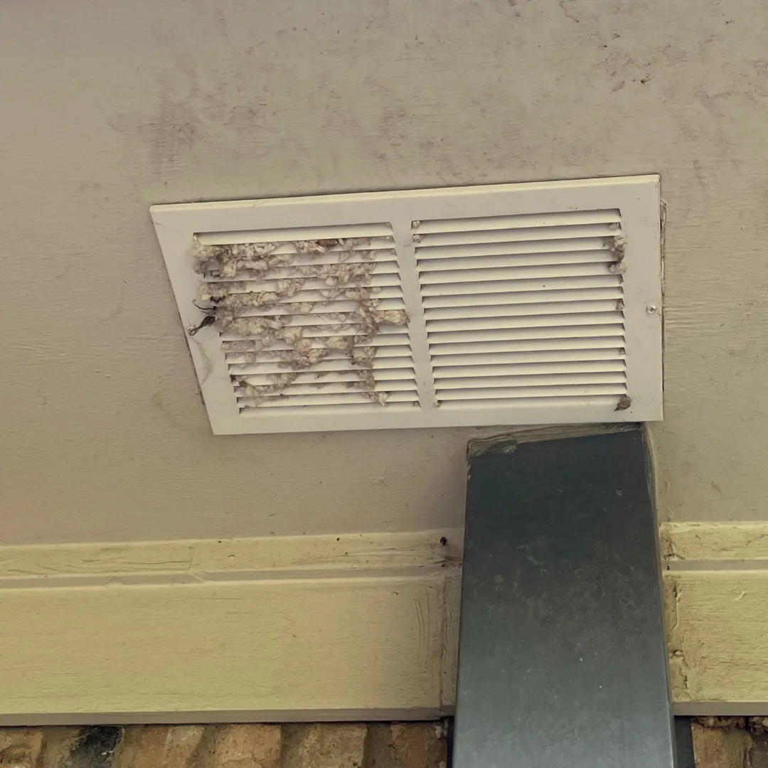 critter stop insulation energy loss