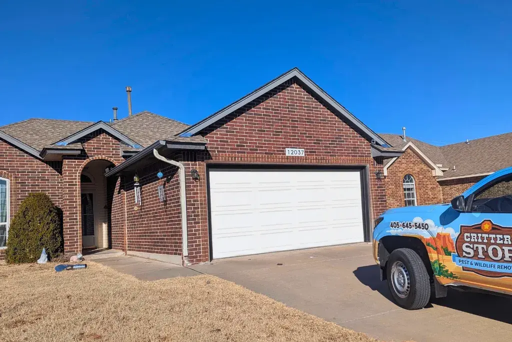 Pest Control & Wildlife Removal Dallas-Fort Worth Animal Removal
