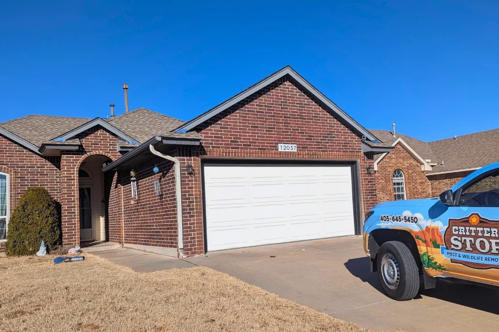 Pest Control & Wildlife Removal Dallas-Fort Worth Animal Removal