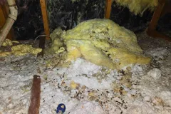 residential pest control protect 2