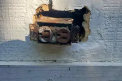residential pest control protect 3