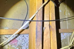 squirrel removal services fire hazard