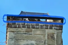 wildlife removal near me structual issues