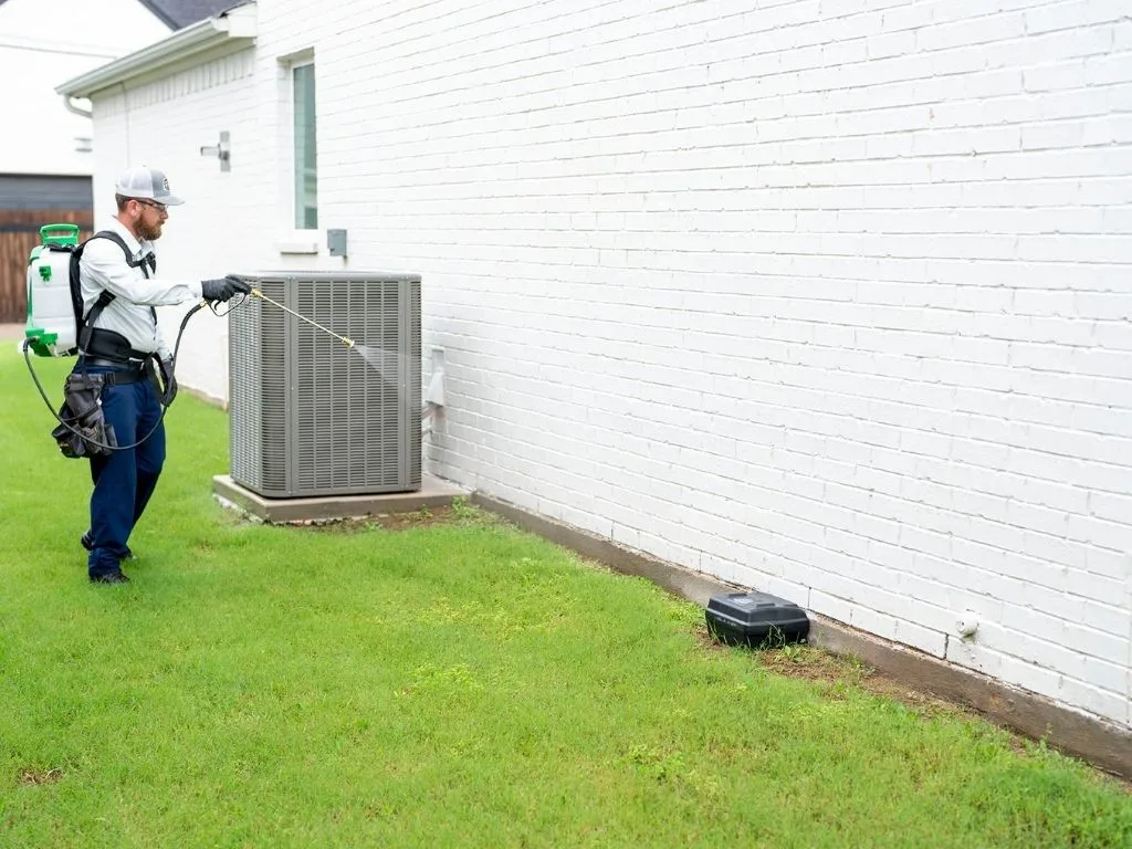 Pest Control Fort Worth