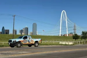 Wildlife Removal Dallas