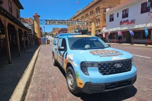 Wildlife Removal Fort Worth