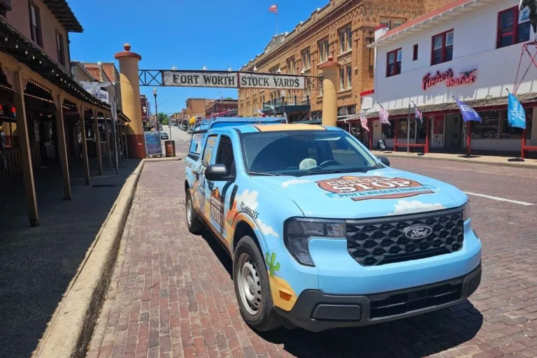 Pest Control Fort Worth