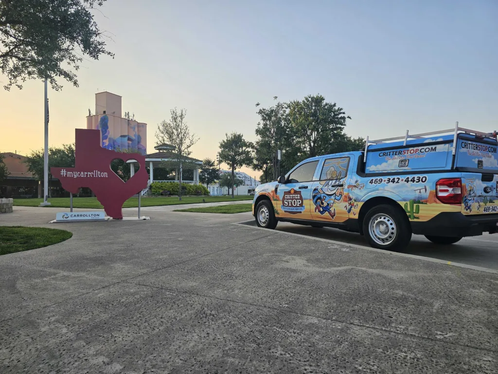 Pest Control Carrollton