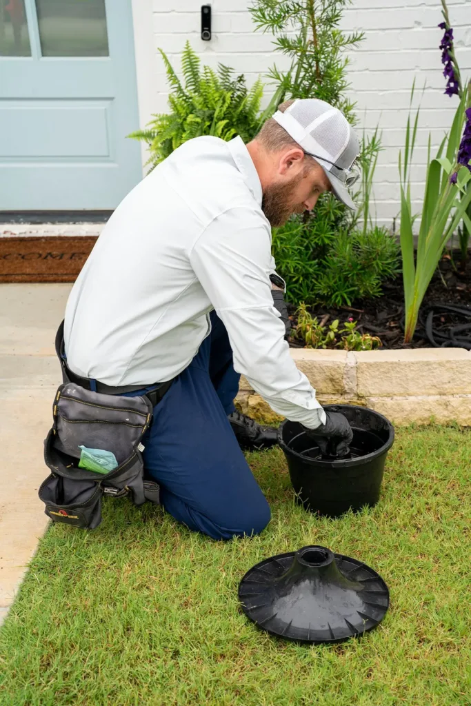 Pest Control Keller