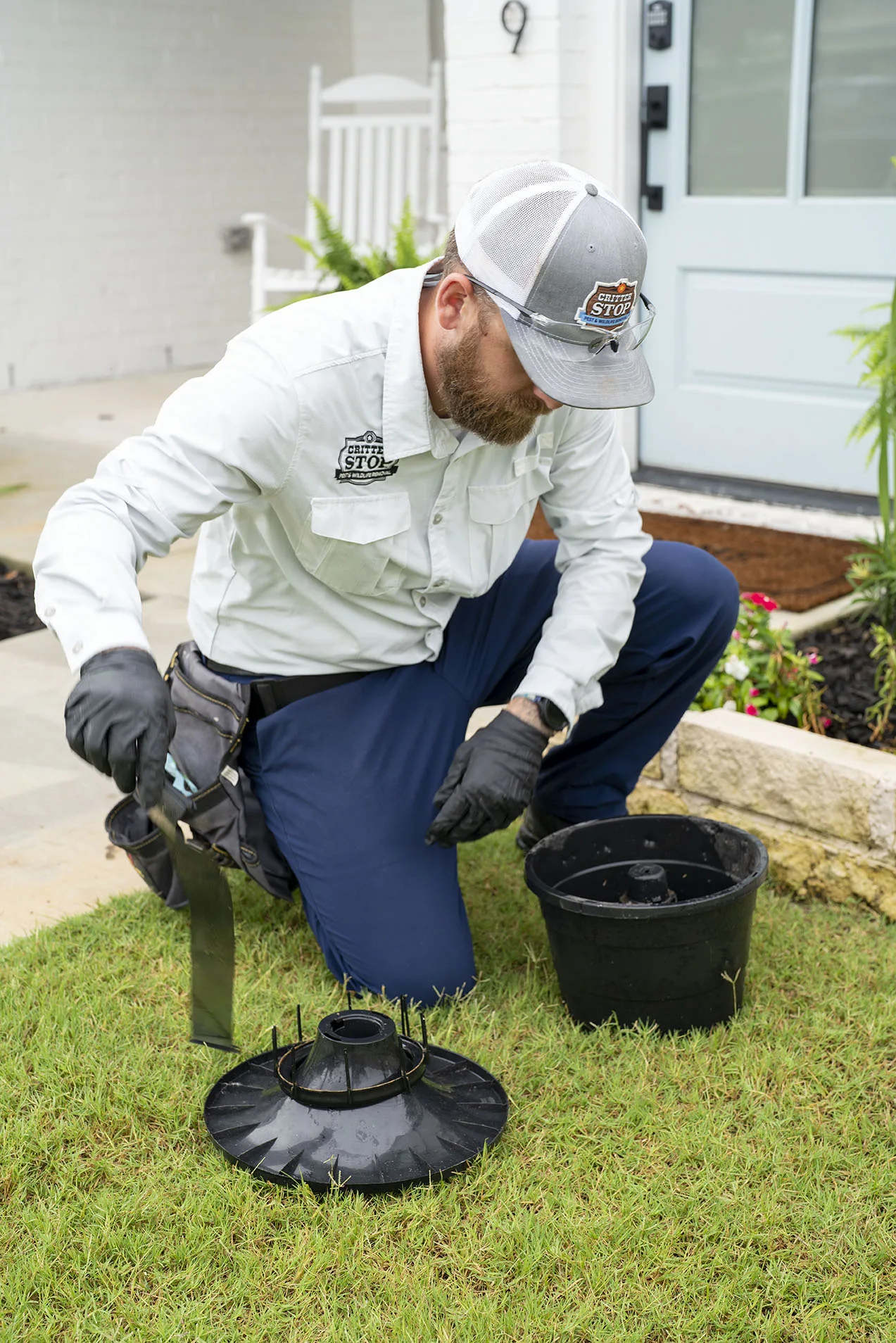 Mosquito Control Arlington