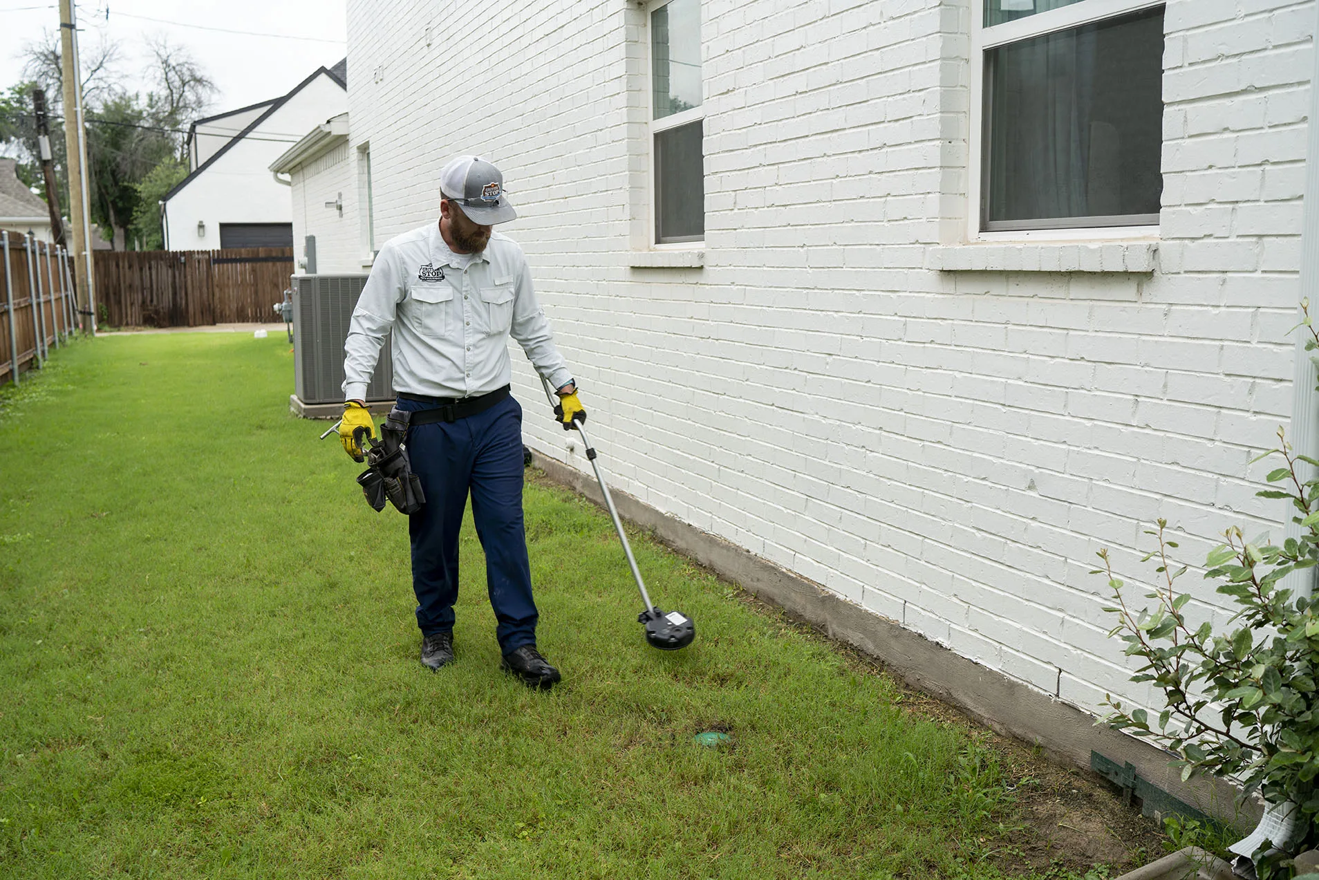 Termite Control Fort Worth