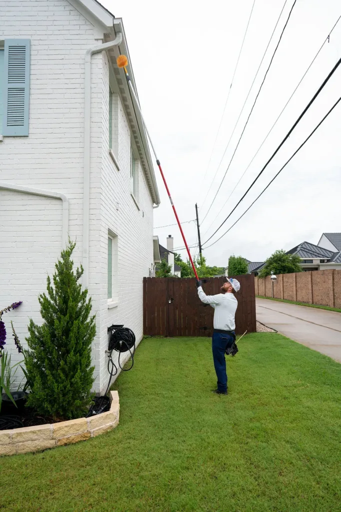Pest Control Rowlett