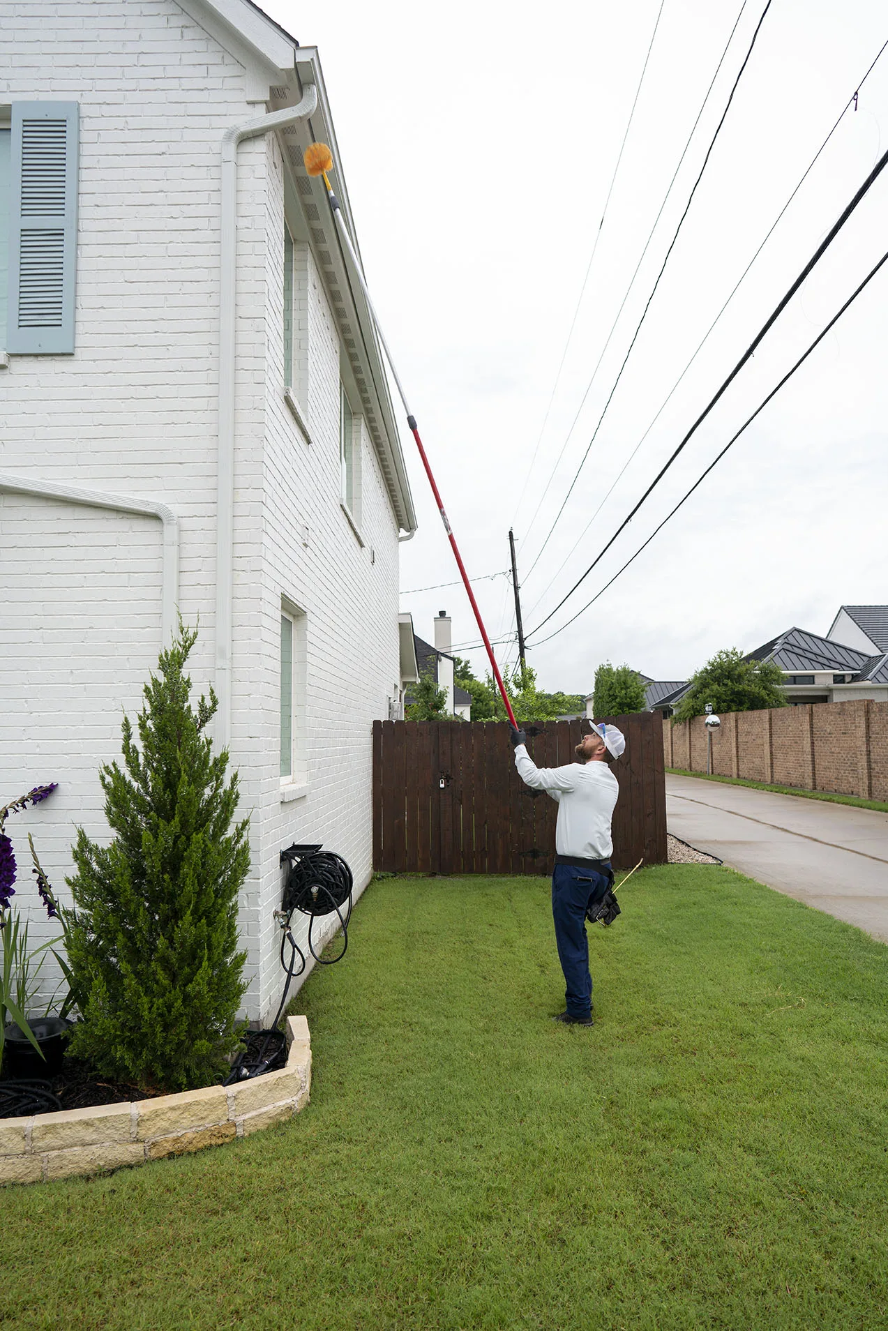 Pest Control Rowlett