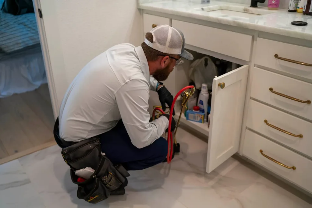 Pest Control Lewisville