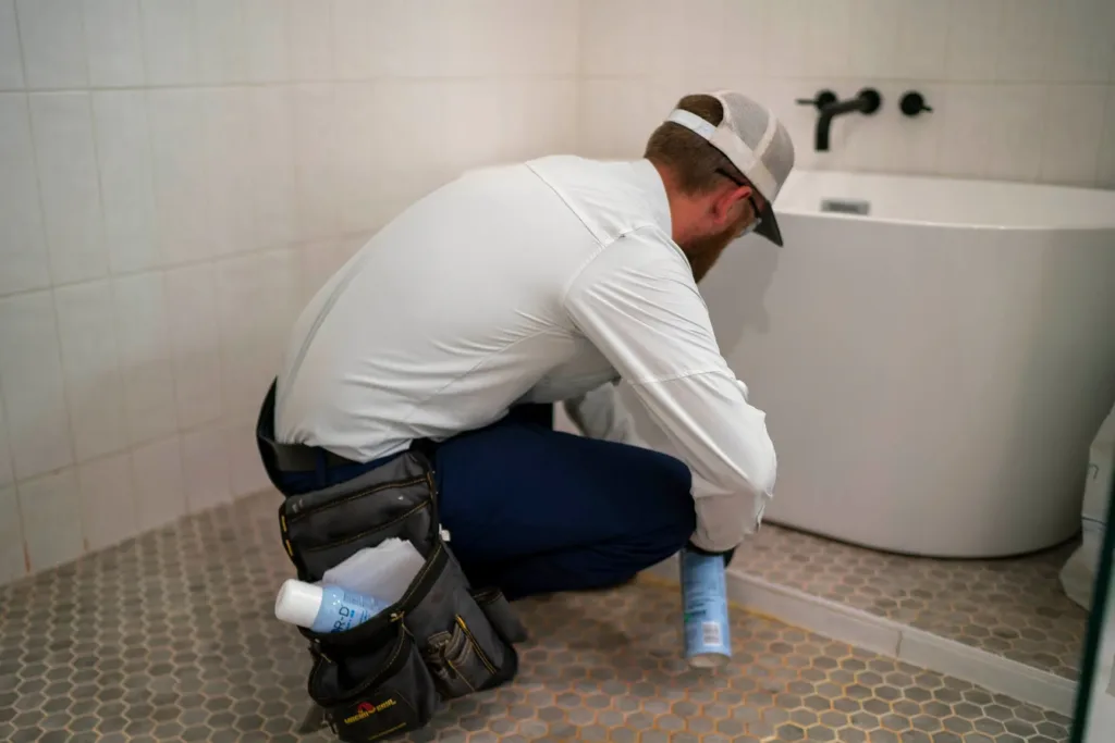 Pest Control Lewisville