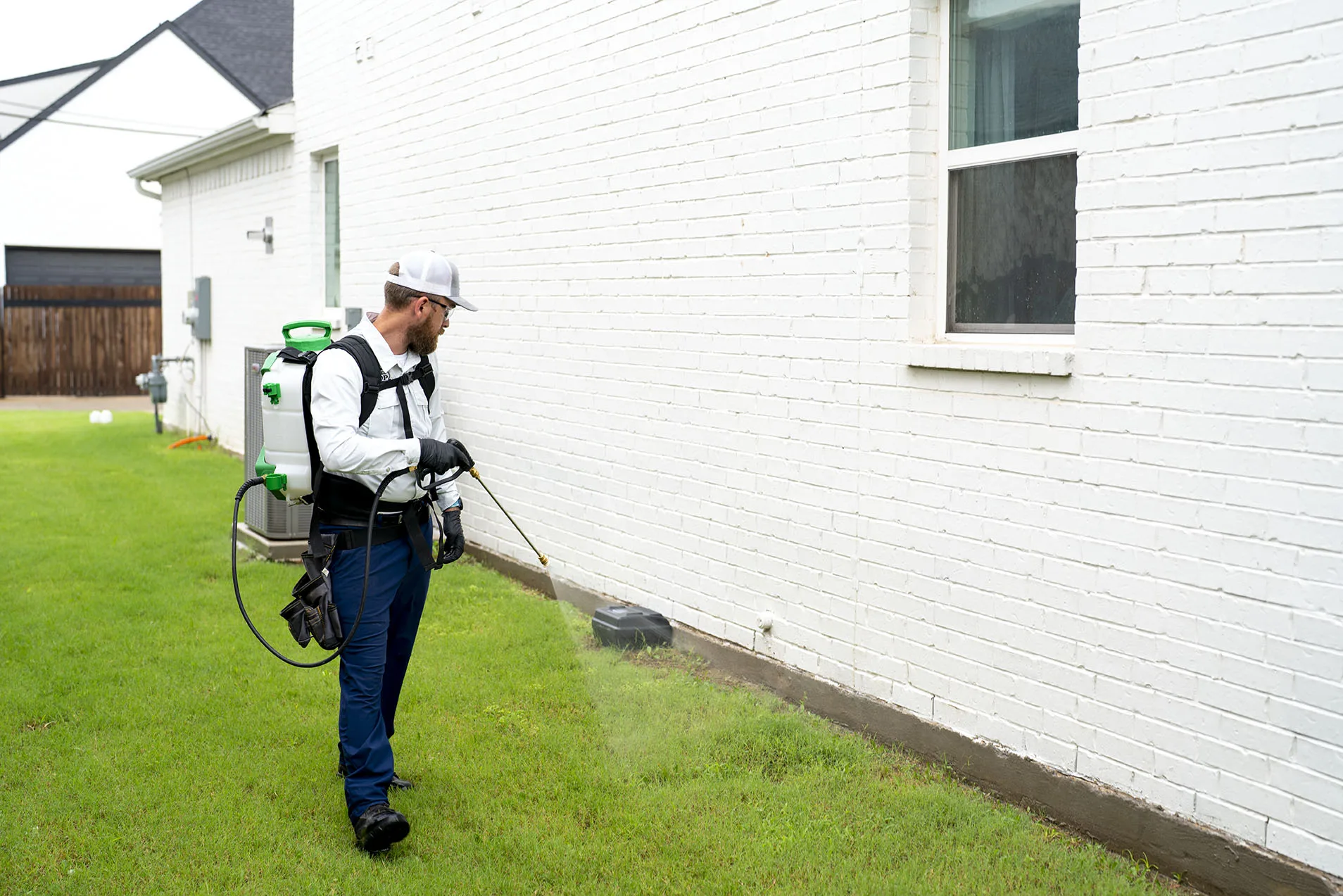 Termite Control Dallas
