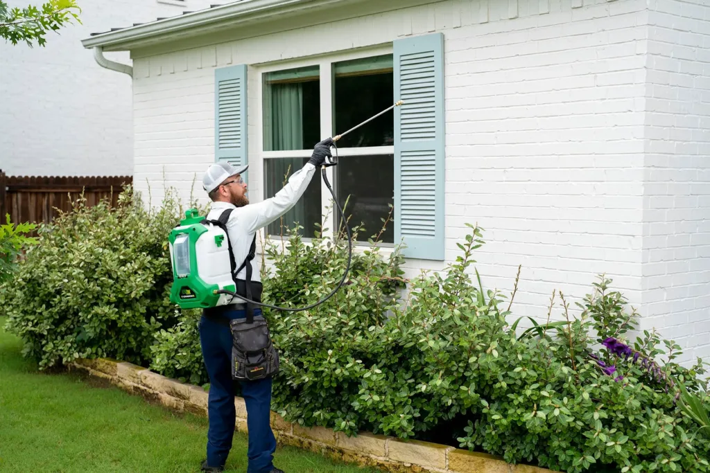 Pest Control Richardson