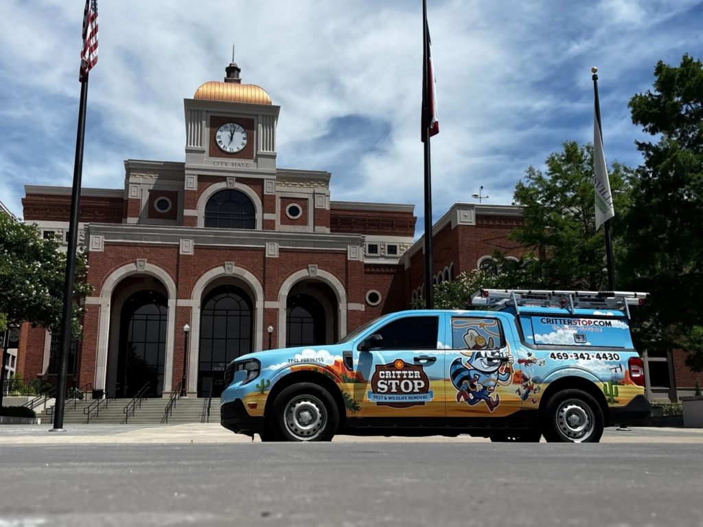 Pest Control Lewisville