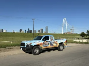 Technician setting wildlife trap