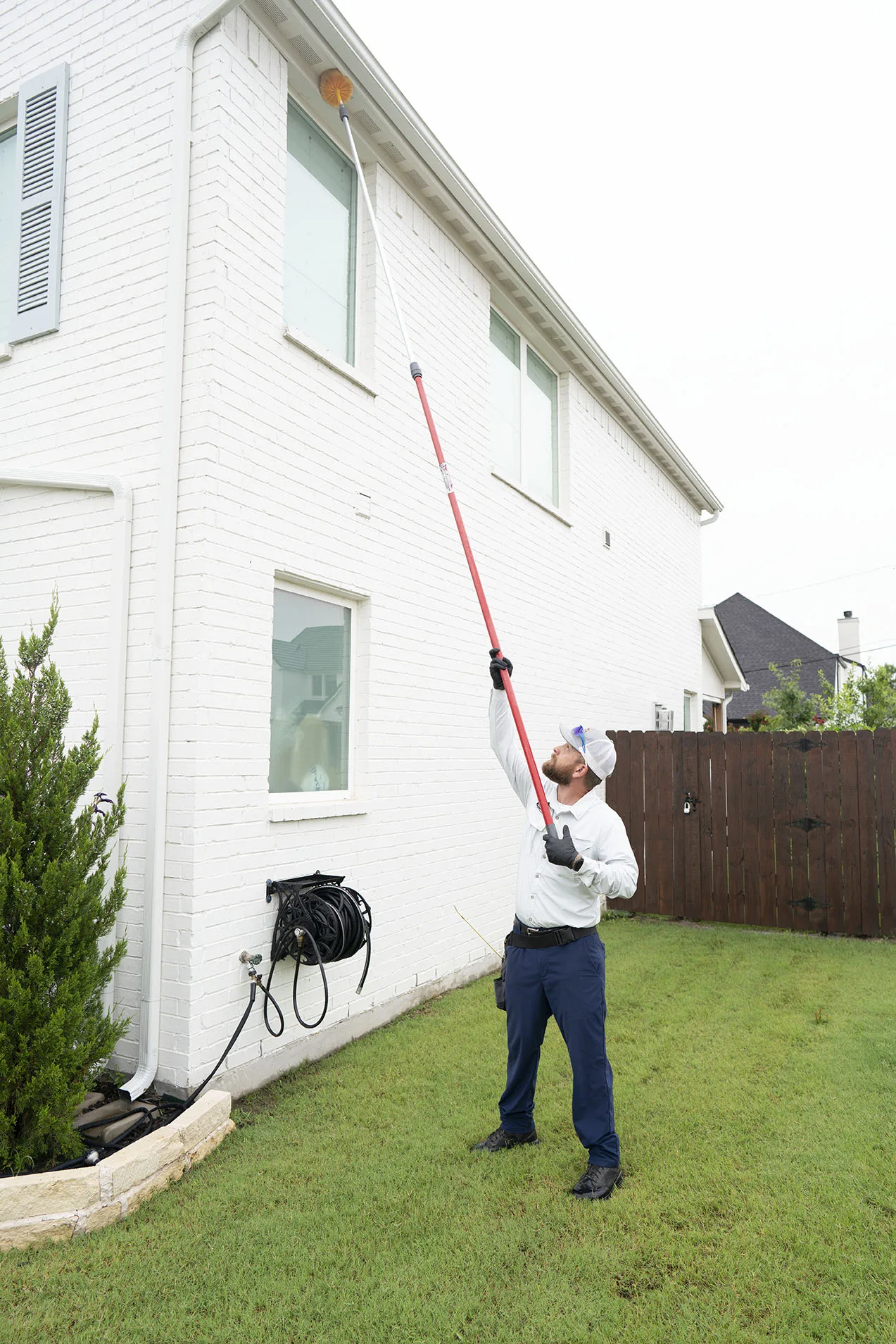 Pest Control Arlington: Expert Protection for Businesses and Homes