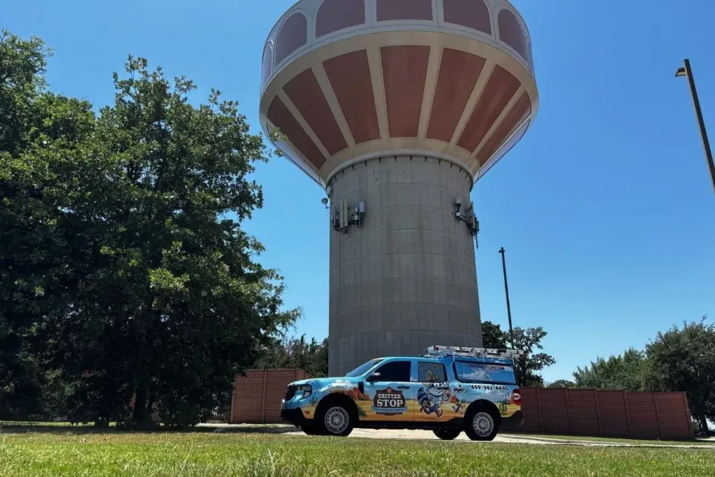 Pest Control Southlake