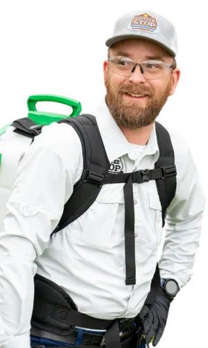 cs home page pest guy 3