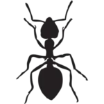cs service image ant