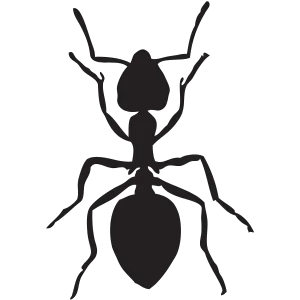 cs service image ant