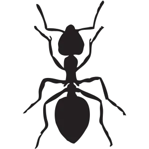 Ant Exterminator