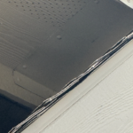 2 Squirrel exclusion Frisco Tx