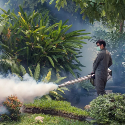 Mosquito Control Southlake