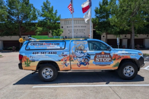 Technician setting wildlife trap
