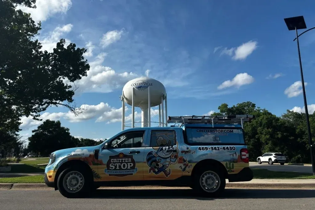 Pest Control Colleyville