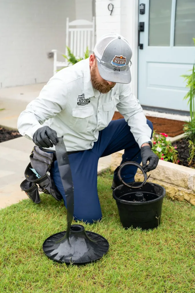 Mosquito Control Roanoke 