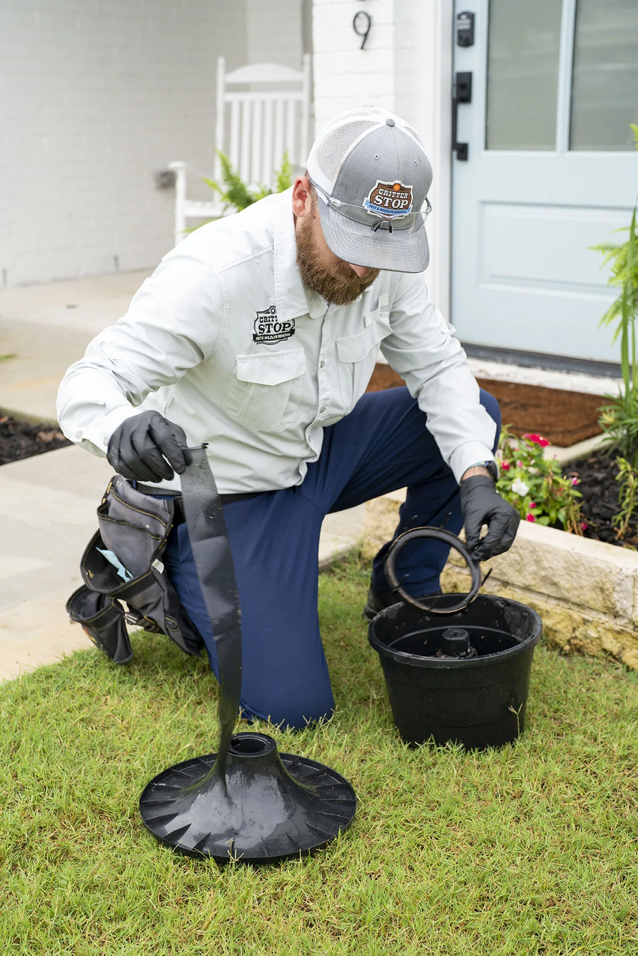 Mosquito Control Roanoke 
