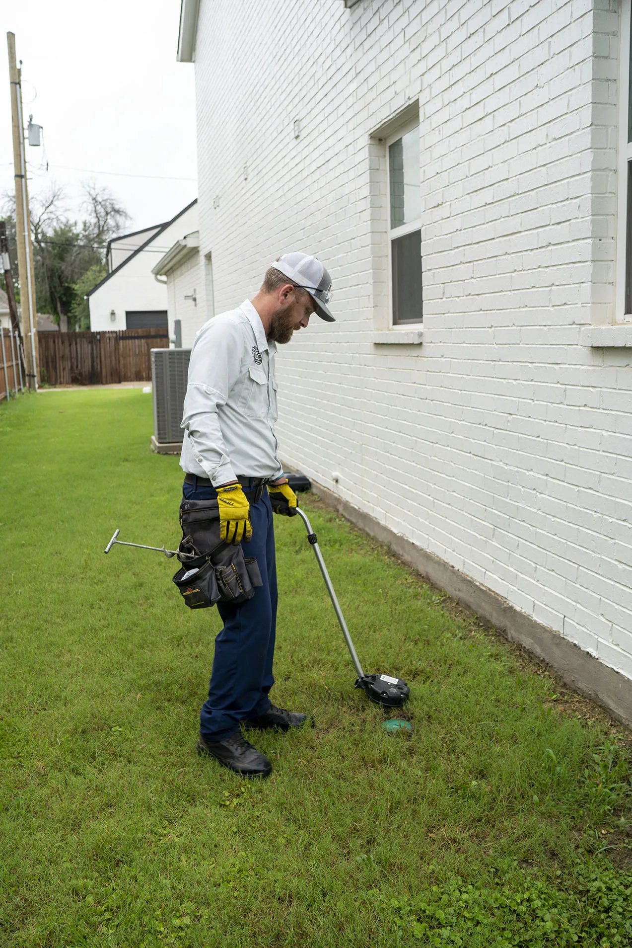 Termite Control Arlington