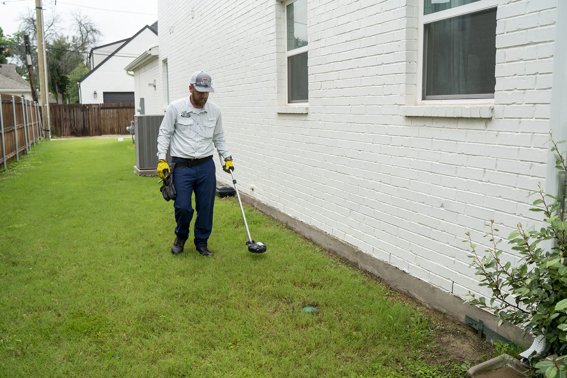 Termite Control Southlake