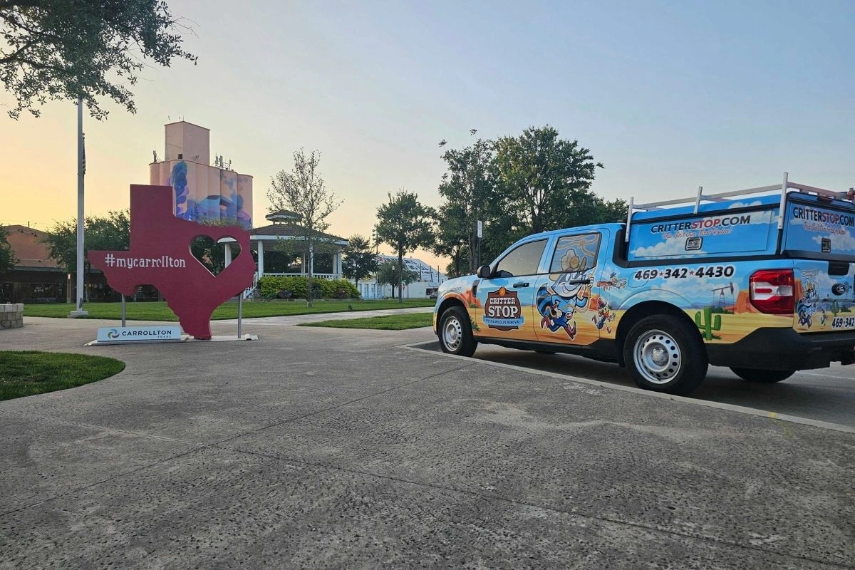 Technician setting wildlife trap