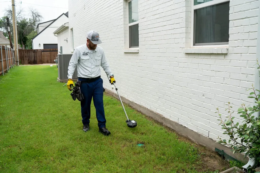 Pest Control The Colony