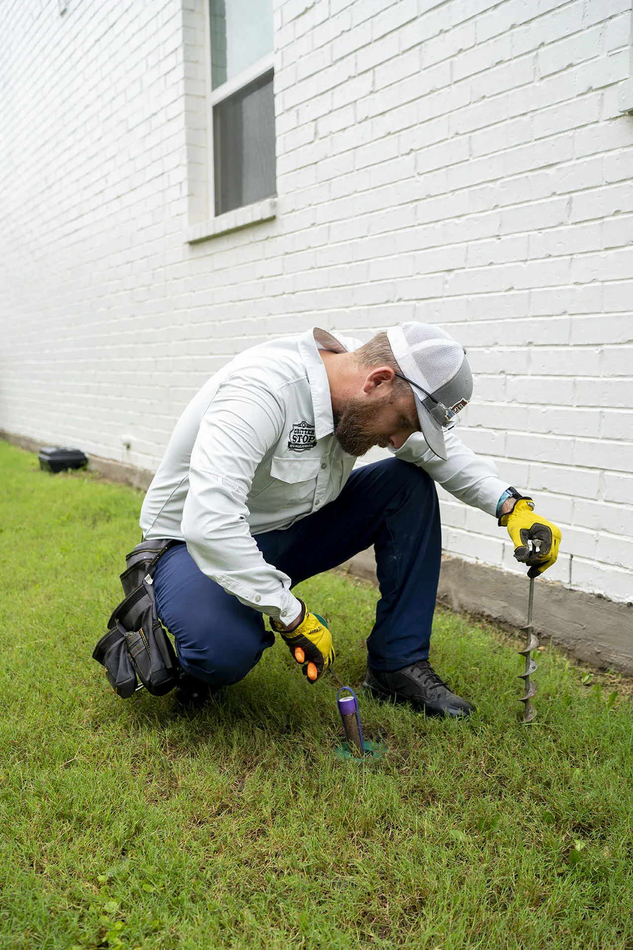 Termite Control Southlake